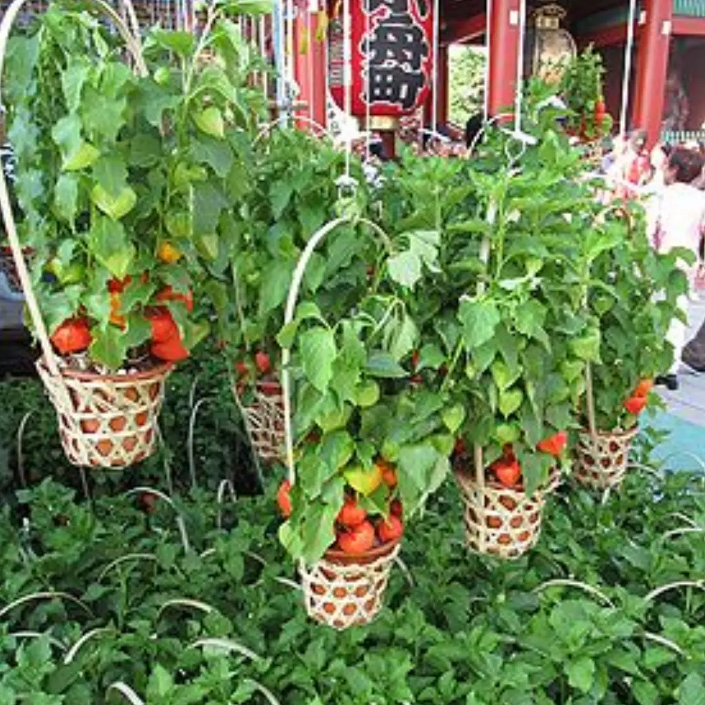 No.013 季節の花300